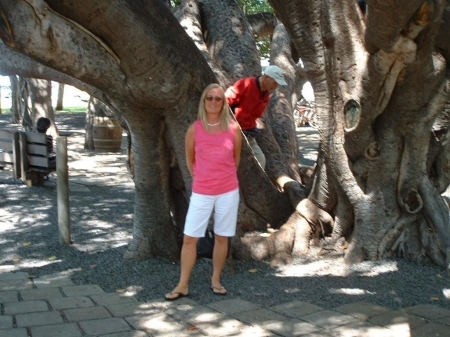 Banyan Tree - Maui 2008