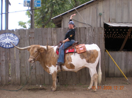 Riding a steer