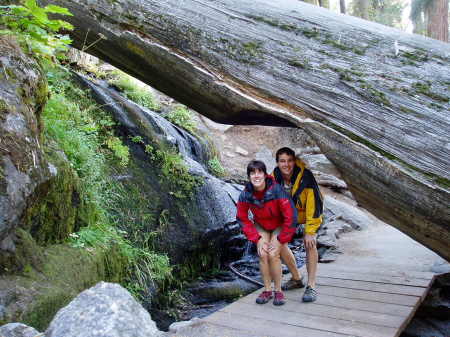 Hiking in Sequoia