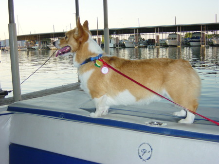 Kirby on the back of the boat