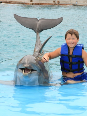 Chase swimming with the dolphins in Cabo