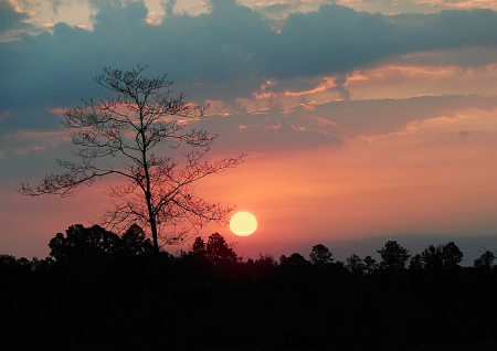 Sunset in Louisiana