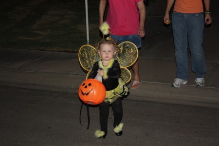 My little bumble bee