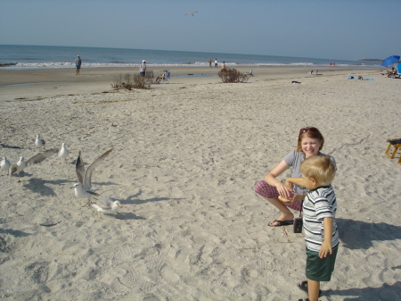Feeding seagulls