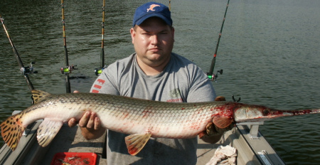 ohio river gar