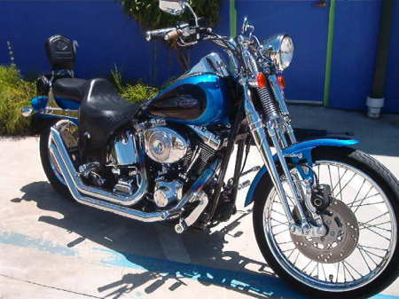 2004 springer