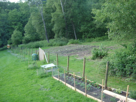 A view of the vegetable, herb garten and bees