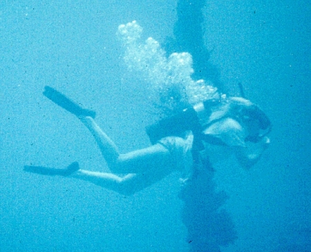 Diving in the US Virgin Islands