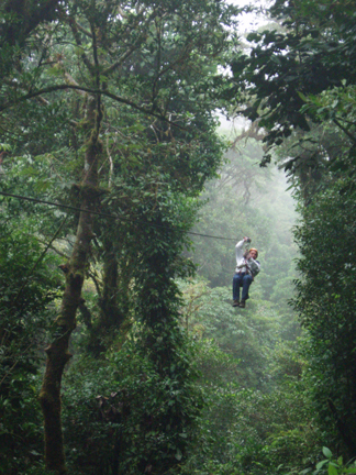 Canopy tree tour