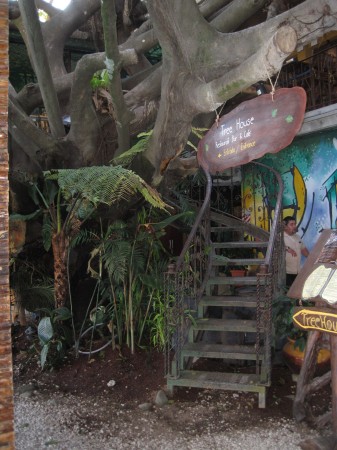 The Tree House Hotel and Restaurant