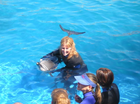 Swiming with the Dolphins at Sea World
