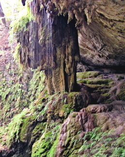 west cave preserve