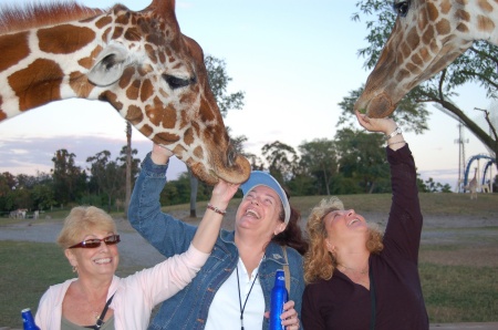 Safari - Maryellen, Kathy, Mary
