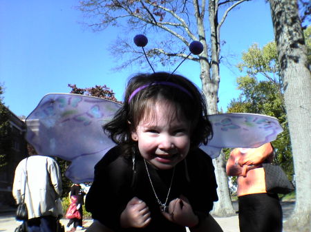 PJ Butterfly