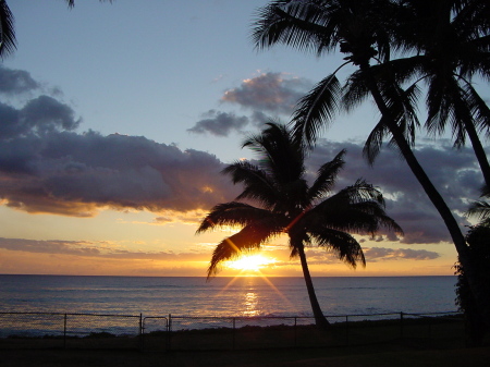 Hawai'i Sunset