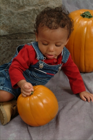 Eli and the Pumpkin