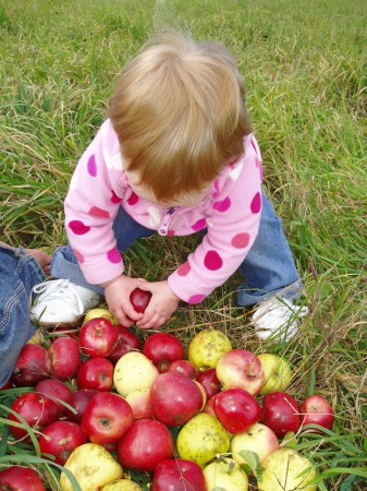 Ev playing with the apples