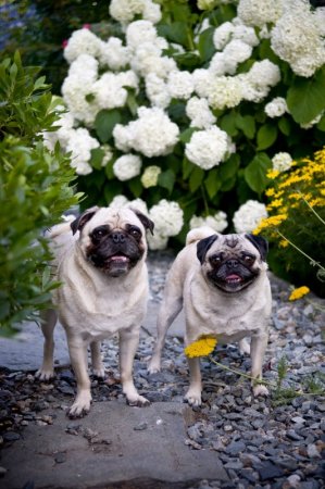 Pete and Lucy