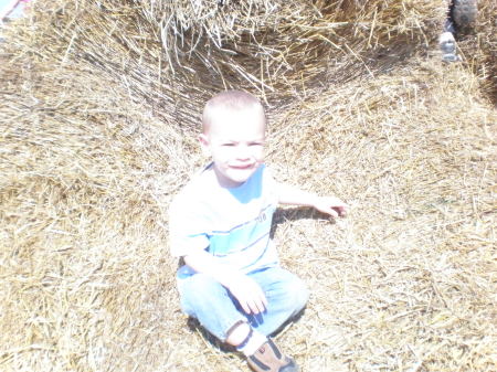 watermans pumpkin patch with the kids 2008 014