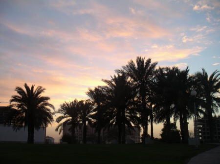 Doha sunset