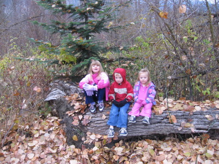 Children Sitting on a Log