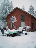 Our Snowy Home 2006