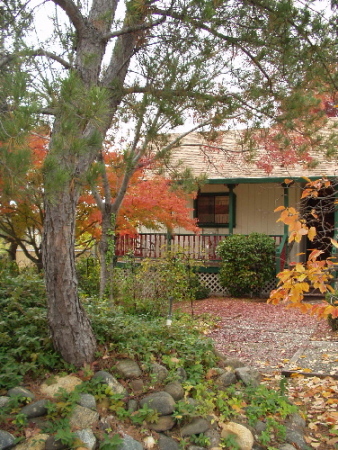 Autumn Splendor Surrounds My House