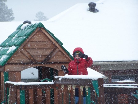 Snow in Marshall 2008