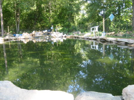 koi pond