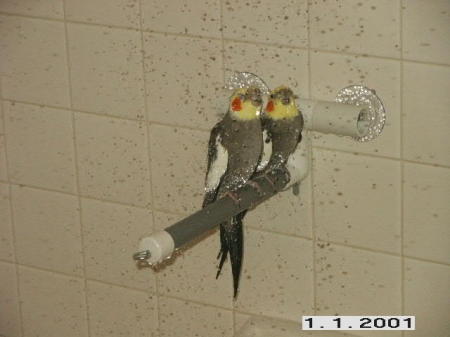 showering with a friend?