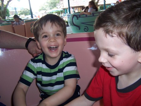 Teacups at Disney World