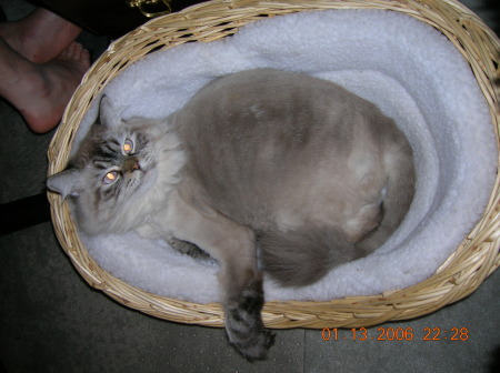 Min-Ji in his Bed