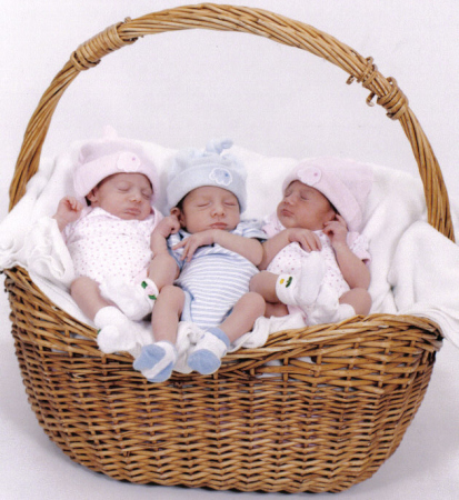 "babies in a basket"