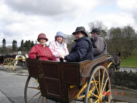 Pony & Cart in Kilarney