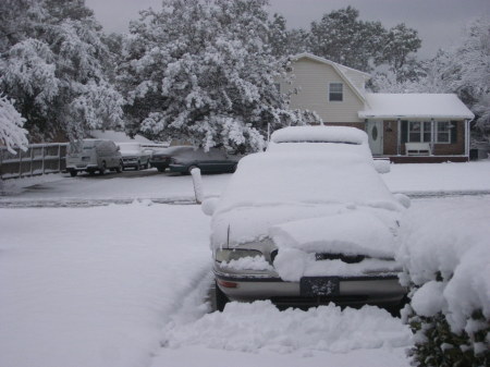Dwight Hansard's album, 2010 snow
