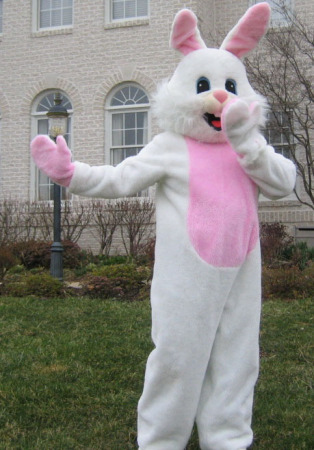 Easter Bunny Visits the House