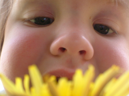 Stopping to smell the Flowers