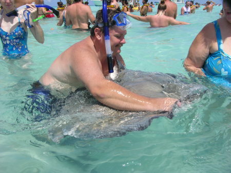 Stingray City Grand Cayman