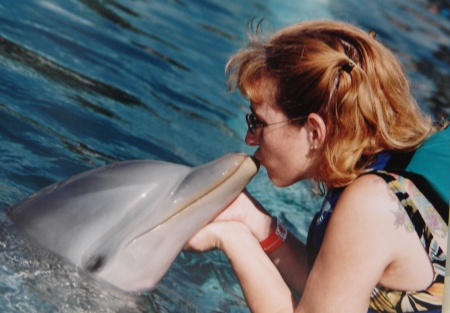 Kissin' dolphins in Playa Del Carmen.