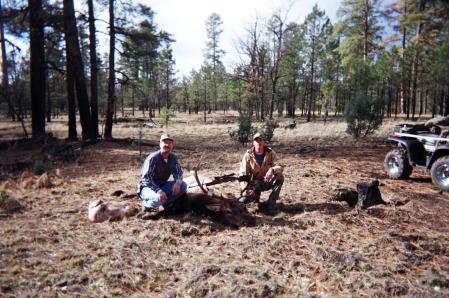 Elk Season 2004