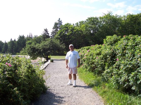 BAR HARBOR 2004