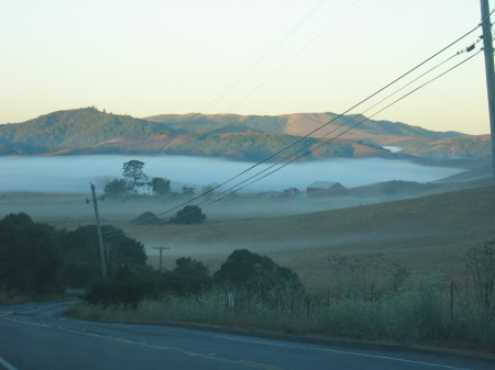 On the road to Point Reyes