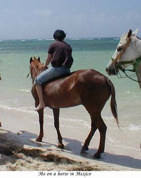 on a horse in mexico