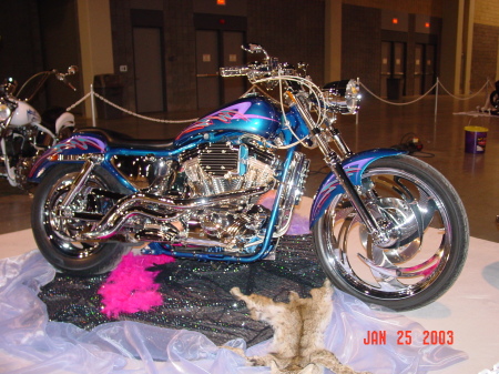 My Harley AFTER modification!