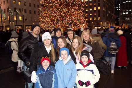 The tree 2004