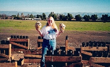 Fireworks Setup