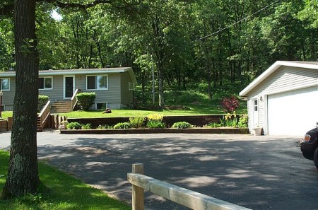 Our place in the trees