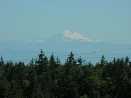 Mt Baker from the back yard