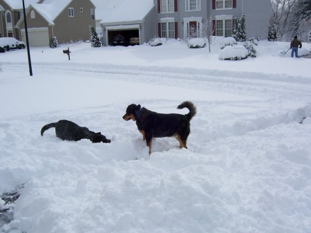 Fun in the snow