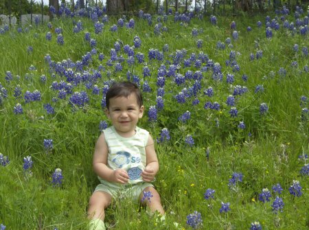 Damian in the Bluebonnets